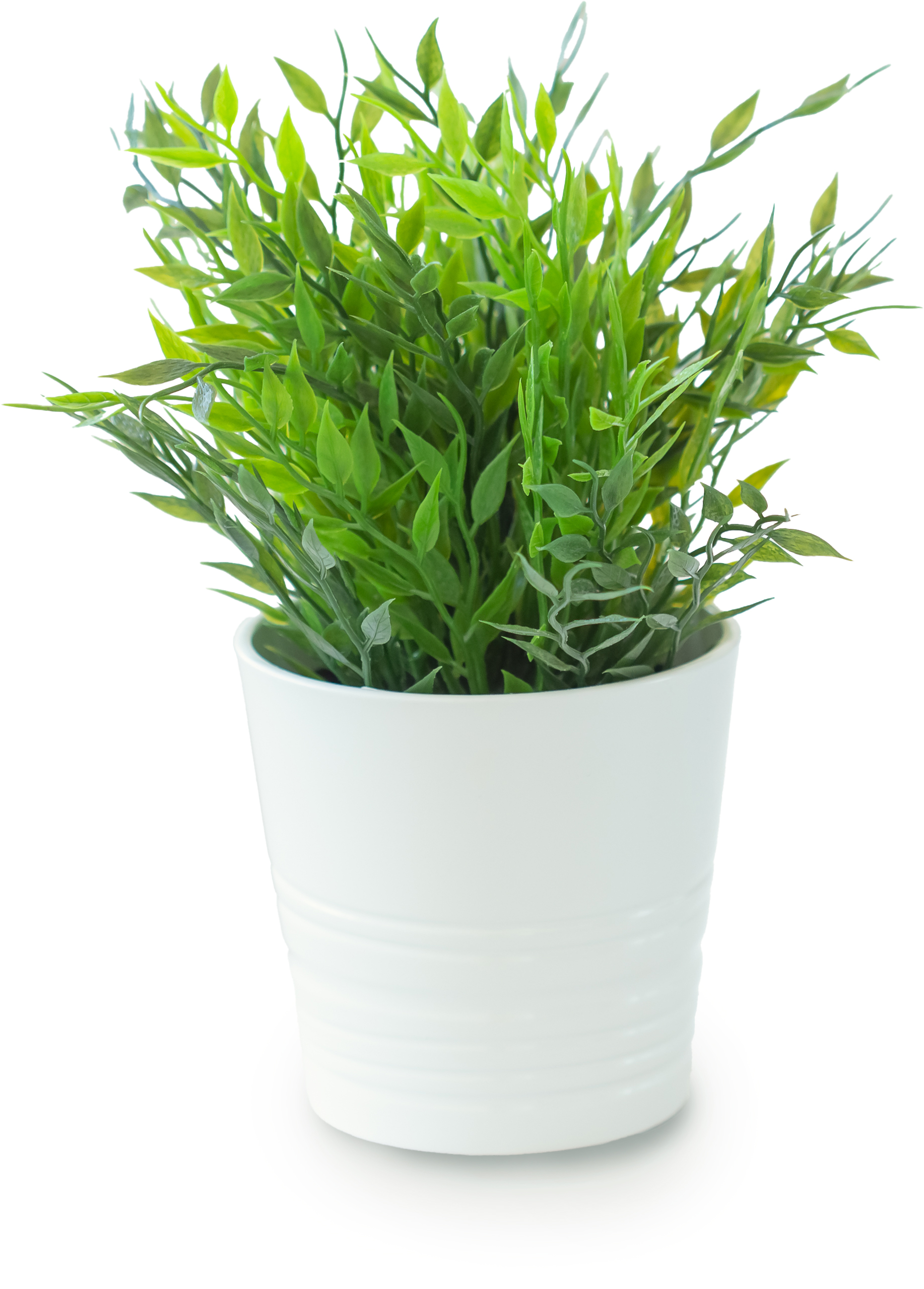 HTCN-Eventlocation-Nürnberg Wohlfühlatmosphäre mit Planzen